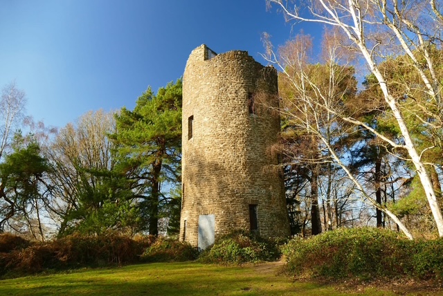 Stone tower surrounded by trees under a clear blue sky.