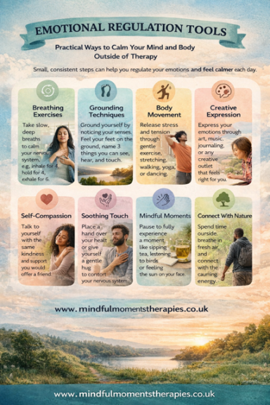 A chart outlining various emotional regulation tools and techniques for well-being.
