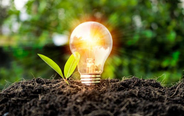 Light bulb glowing next to a small green plant emerging from dark soil.