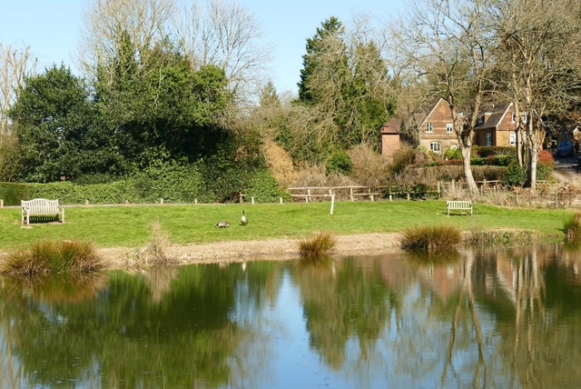 A tranquil pond reflecting green trees and a nearby cottage with benches.