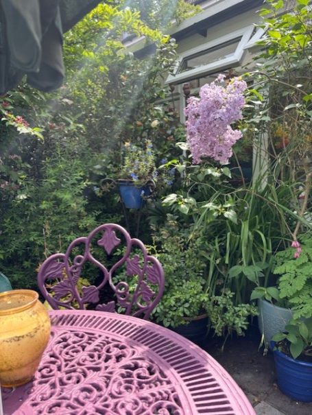 A purple garden table surrounded by lush greenery and flowering plants.