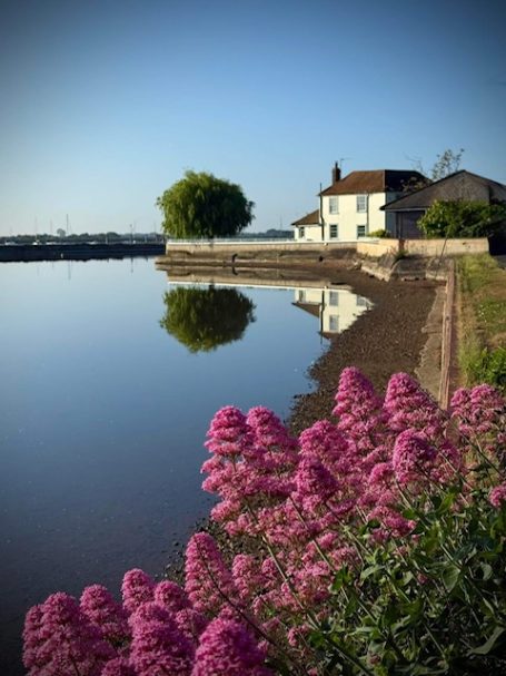 A tranquil lakeside scene with a house and vibrant pink flowers in the foreground.