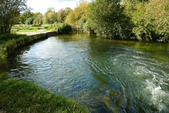 A tranquil river winding through lush greenery and trees in a sunny landscape.