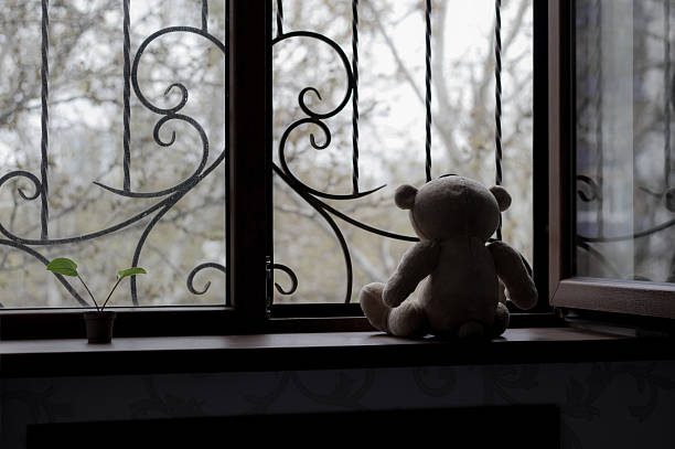 A teddy bear sitting on a windowsill with a plant and a blurred outdoor view.