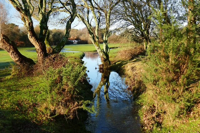 A tranquil stream flows through lush greenery and trees under a clear sky.