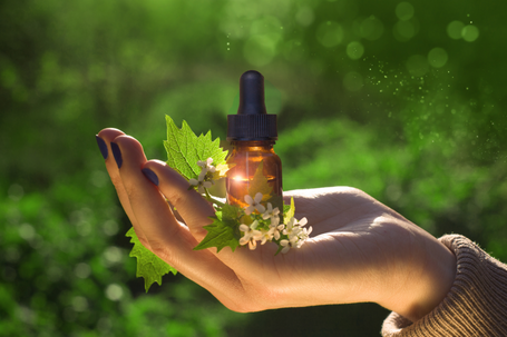 Flower Remedies A hand holding a dropper bottle surrounded by green leaves and white flowers.