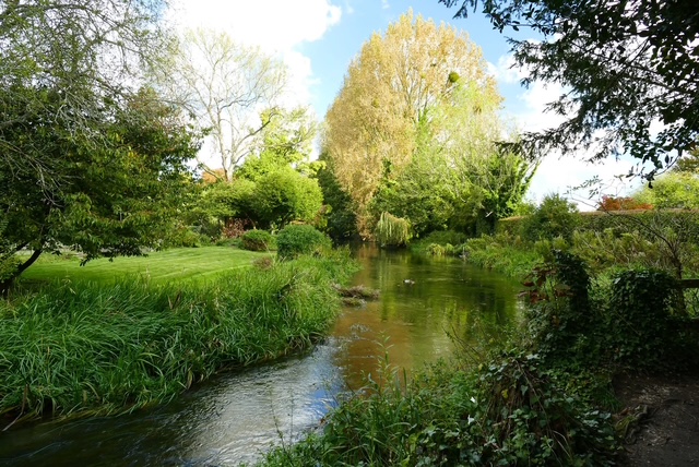 A serene river surrounded by lush greenery and trees under a blue sky.