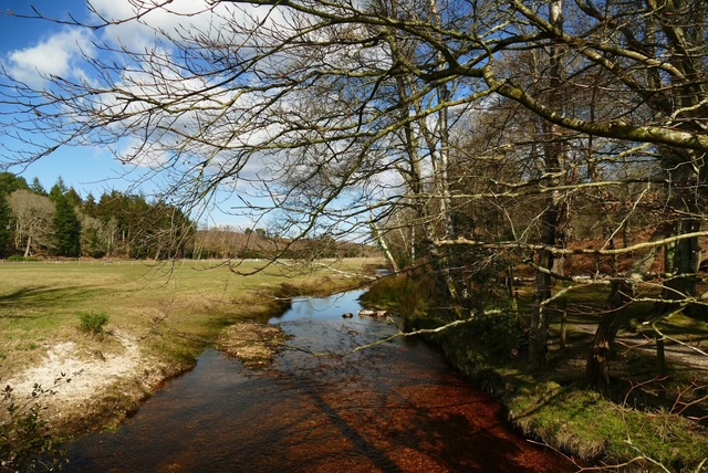 A serene river winding through a lush landscape under a blue sky with scattered clouds.