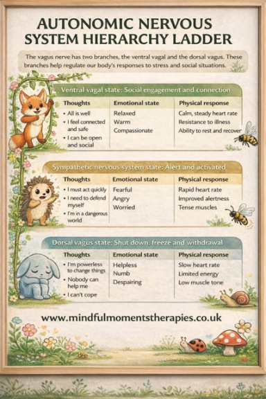 Illustration of the autonomic nervous system hierarchy with animals and descriptions.